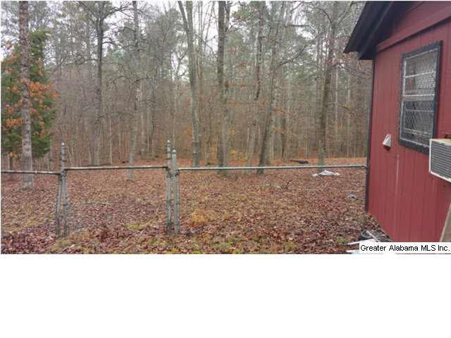 1607 Spring Road Ohatchee, AL 36271 - Photo 21 of 30