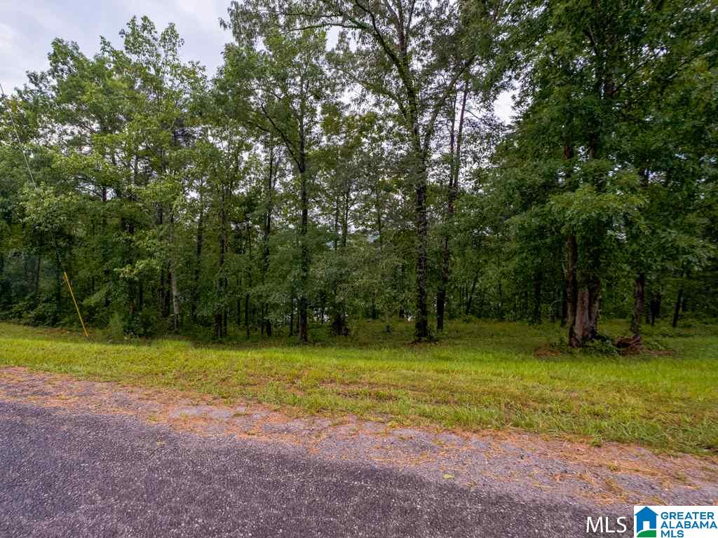 Long Leaf Road, Unit 9 Double Springs, AL 35553 - Photo 14 of 15