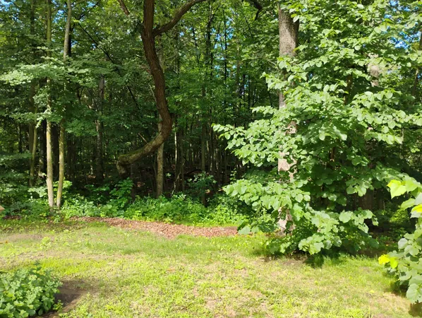 $284,900 | 44888 Co Highway 54, Ottertail, MN 56571