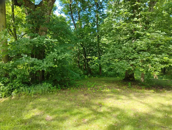 $284,900 | 44888 Co Highway 54, Ottertail, MN 56571