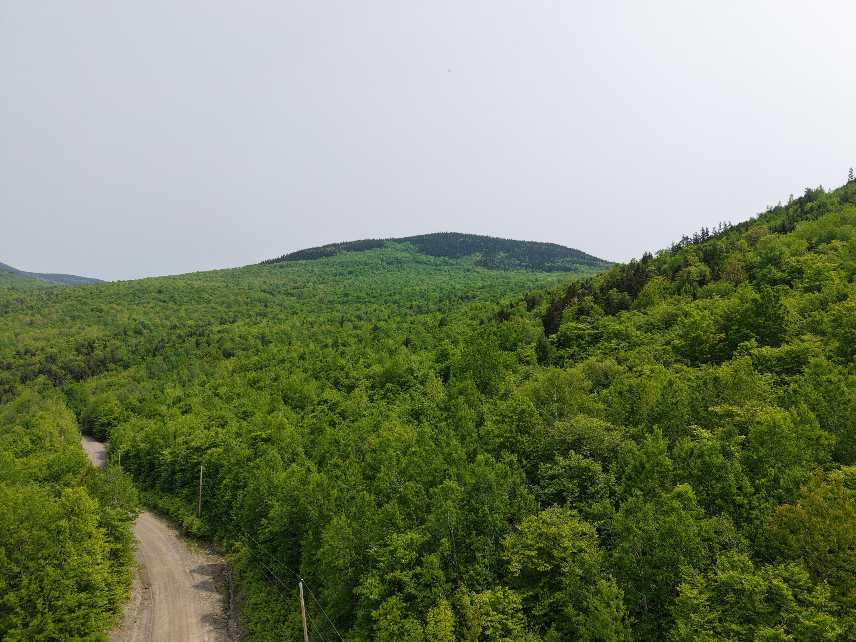 2-3 Ira Mountain Road Kingfield, ME 04947 - Photo 3 of 22 DJI_20250604105828_0013_D
