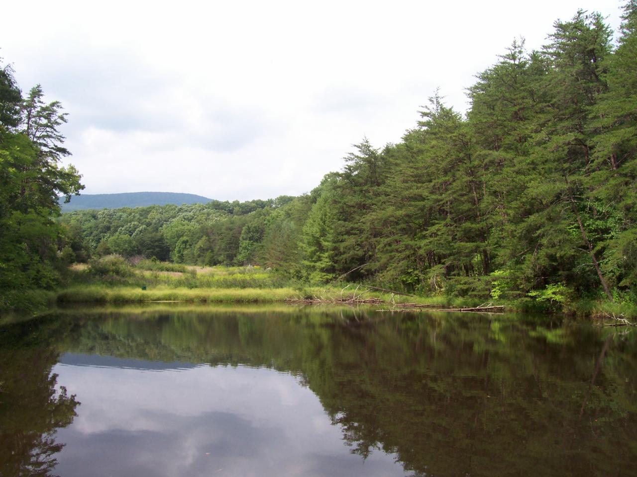 502 Armentrout Road Covington, VA 24426 - Photo 1 of 12 View of Pond