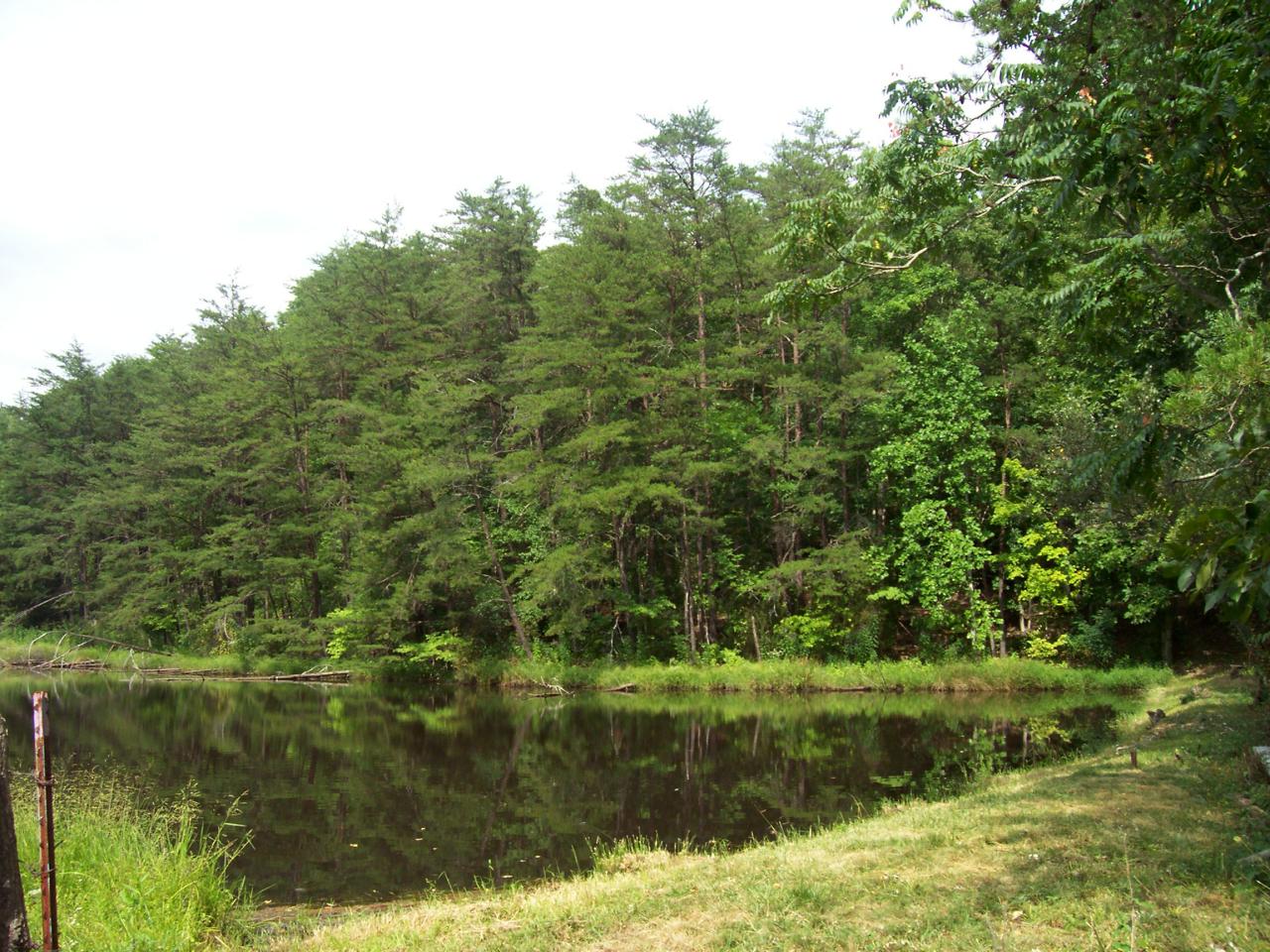 502 Armentrout Road Covington, VA 24426 - Photo 2 of 12 View of Pond