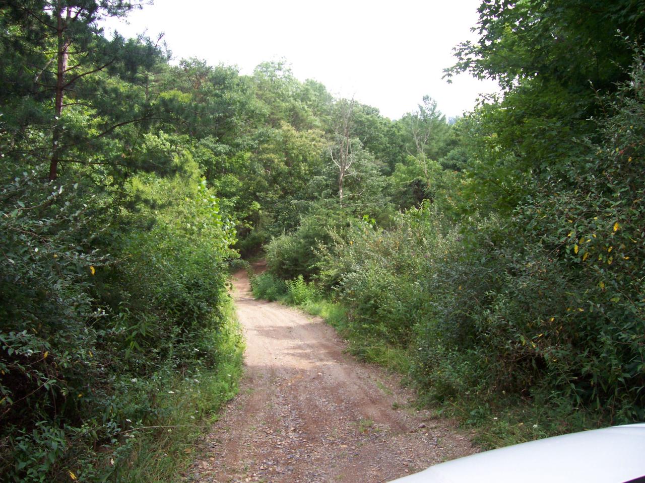 502 Armentrout Road Covington, VA 24426 - Photo 11 of 12 Road into property