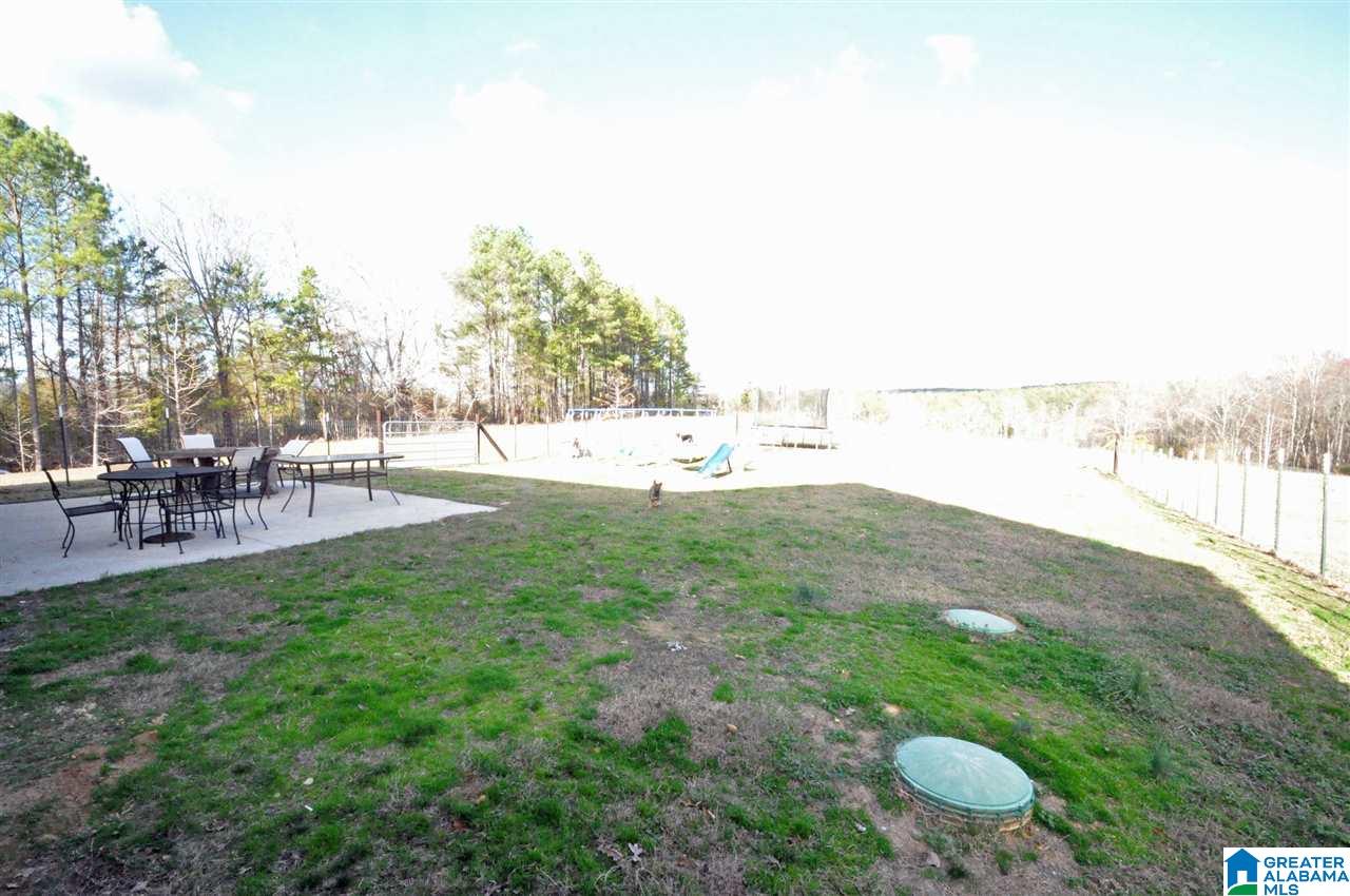 2029 Ebell Road Oneonta, AL 35121 - Photo 7 of 41