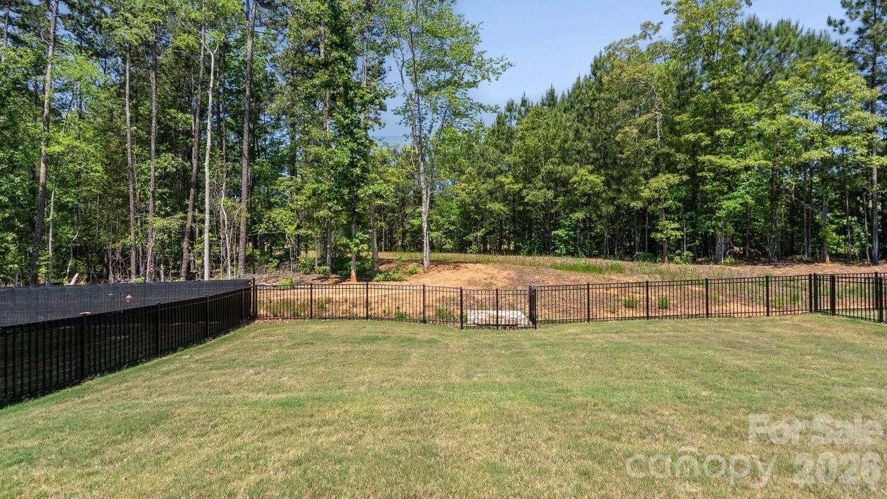 3688 Mercer Street Terrell, NC 28682 - Photo 7 of 34 a view of a backyard