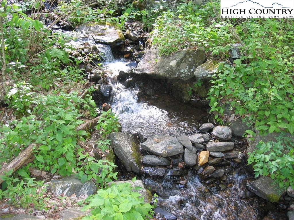 Ball Branch Road Road Boone, NC 28607 - Photo 3 of 7
