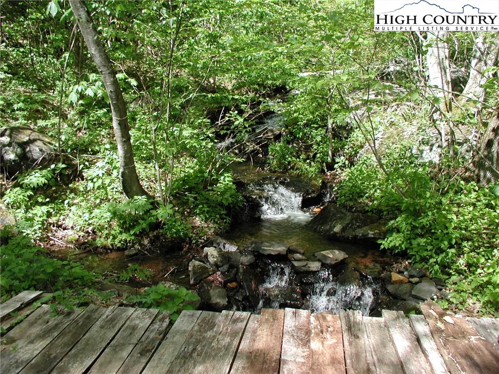Ball Branch Road Road Boone, NC 28607 - Photo 4 of 7 a view of a garden