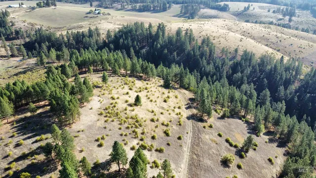 $1,768,000 | Tbd Pardee Road, Kamiah, ID 83536
