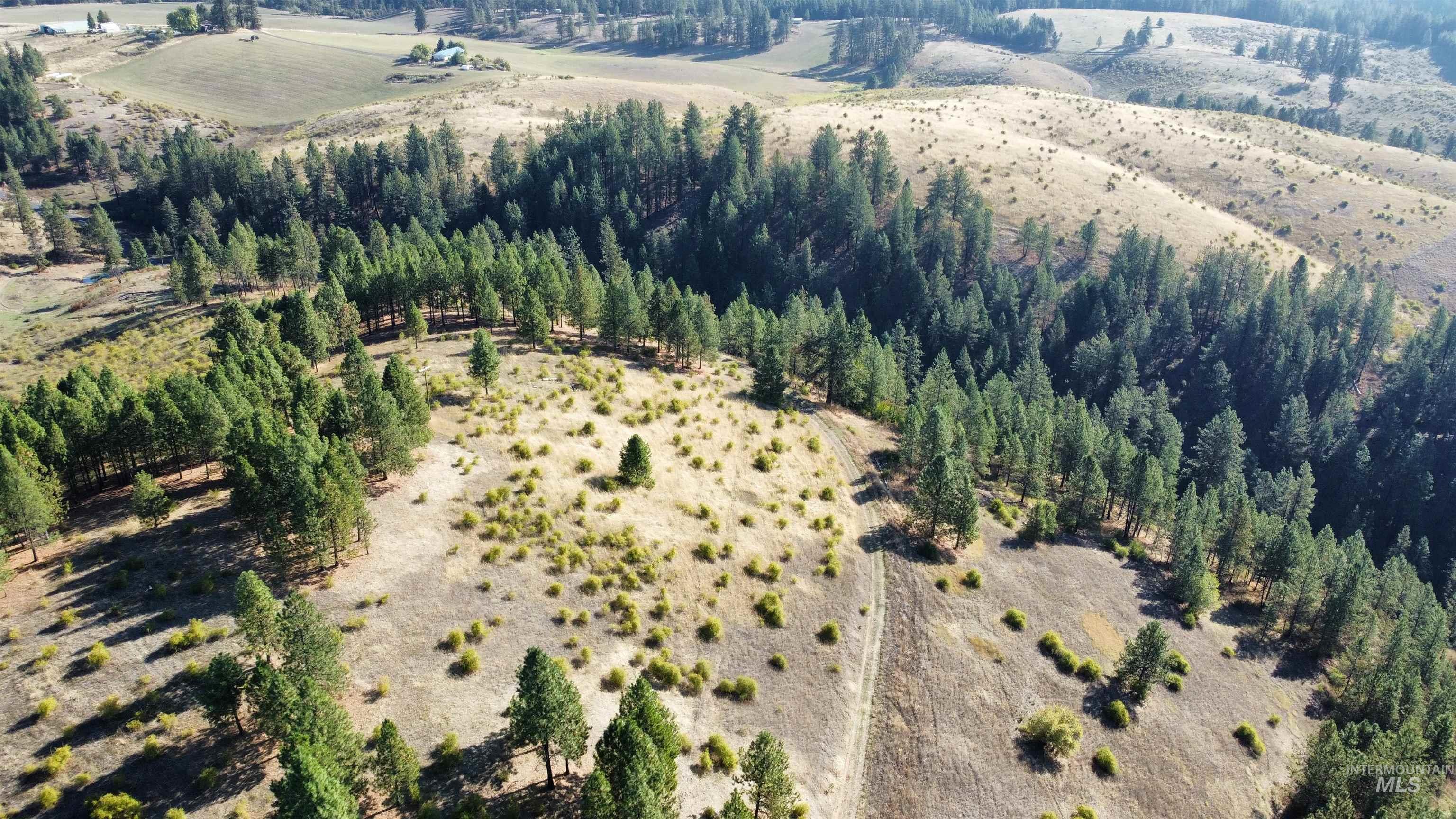 Tbd Pardee Road Kamiah, ID 83536 - Photo 11 of 20 Aerial view of property and surrounding area featuring rural landscape