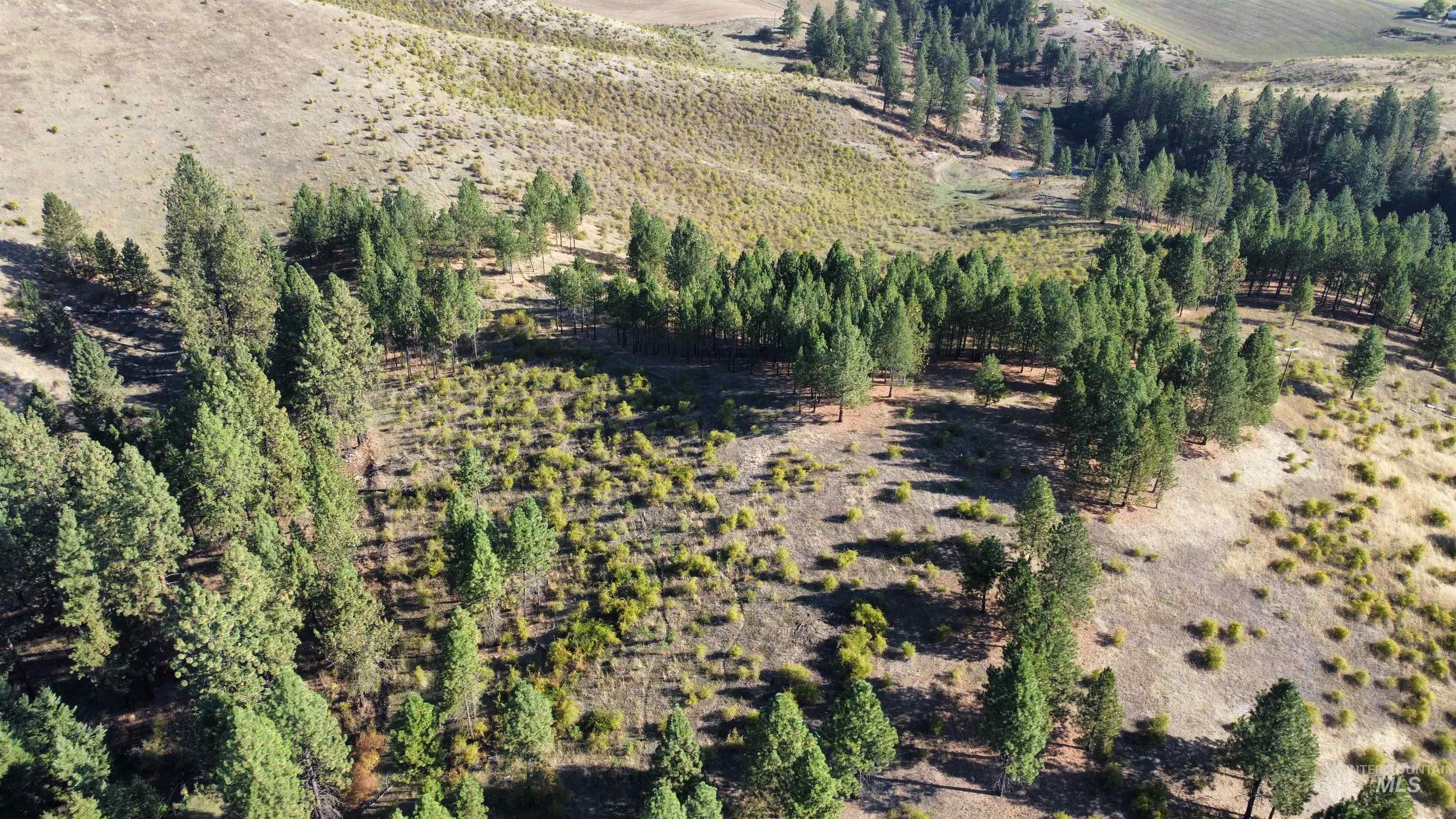 Tbd Pardee Road Kamiah, ID 83536 - Photo 12 of 20 Aerial overview of property's location with rural landscape