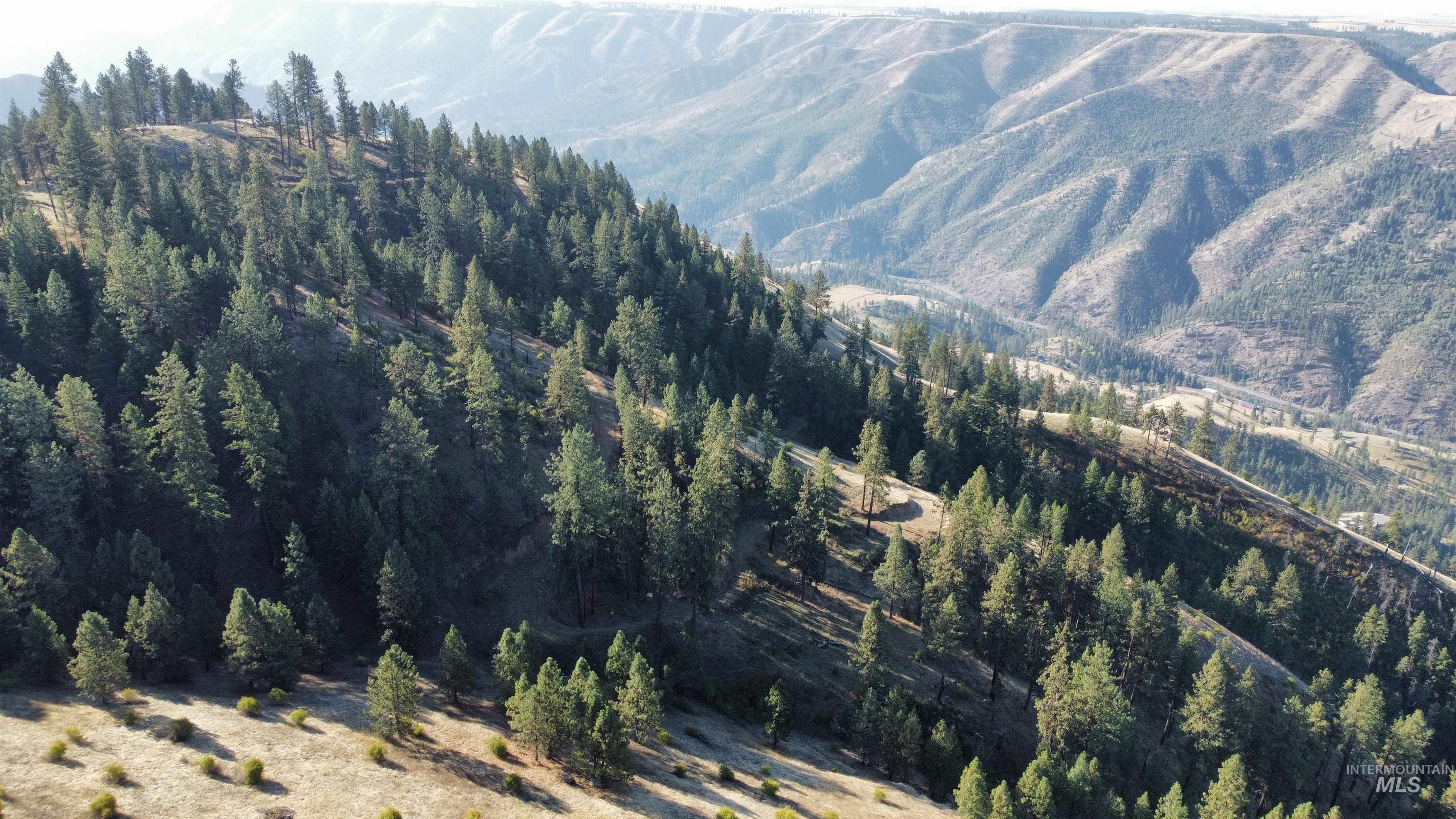 Tbd Pardee Road Kamiah, ID 83536 - Photo 13 of 20 Mountain view