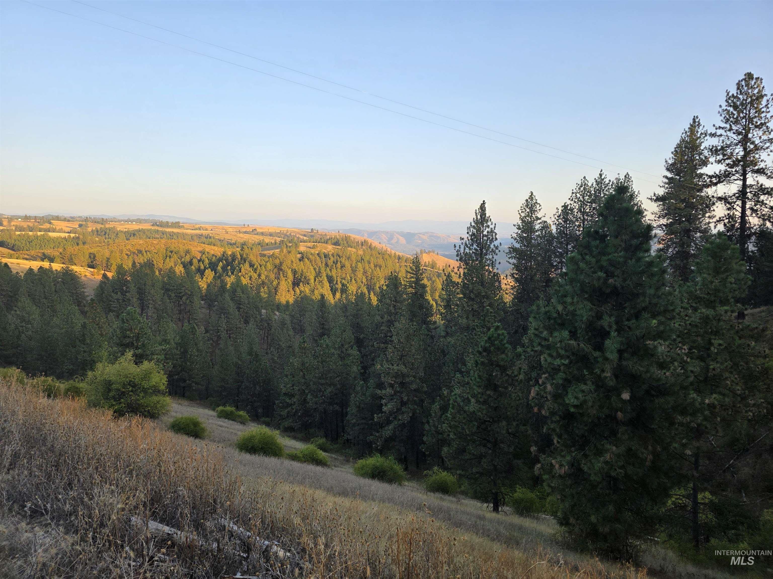 Tbd Pardee Road Kamiah, ID 83536 - Photo 14 of 20 View of mountain background