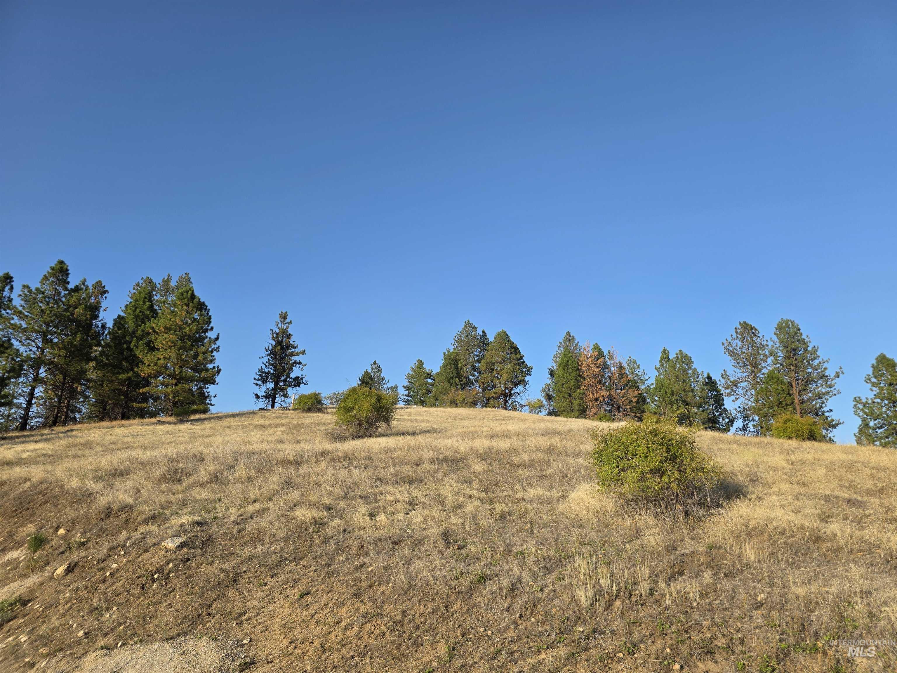 Tbd Pardee Road Kamiah, ID 83536 - Photo 15 of 20 View of undeveloped land with rural landscape