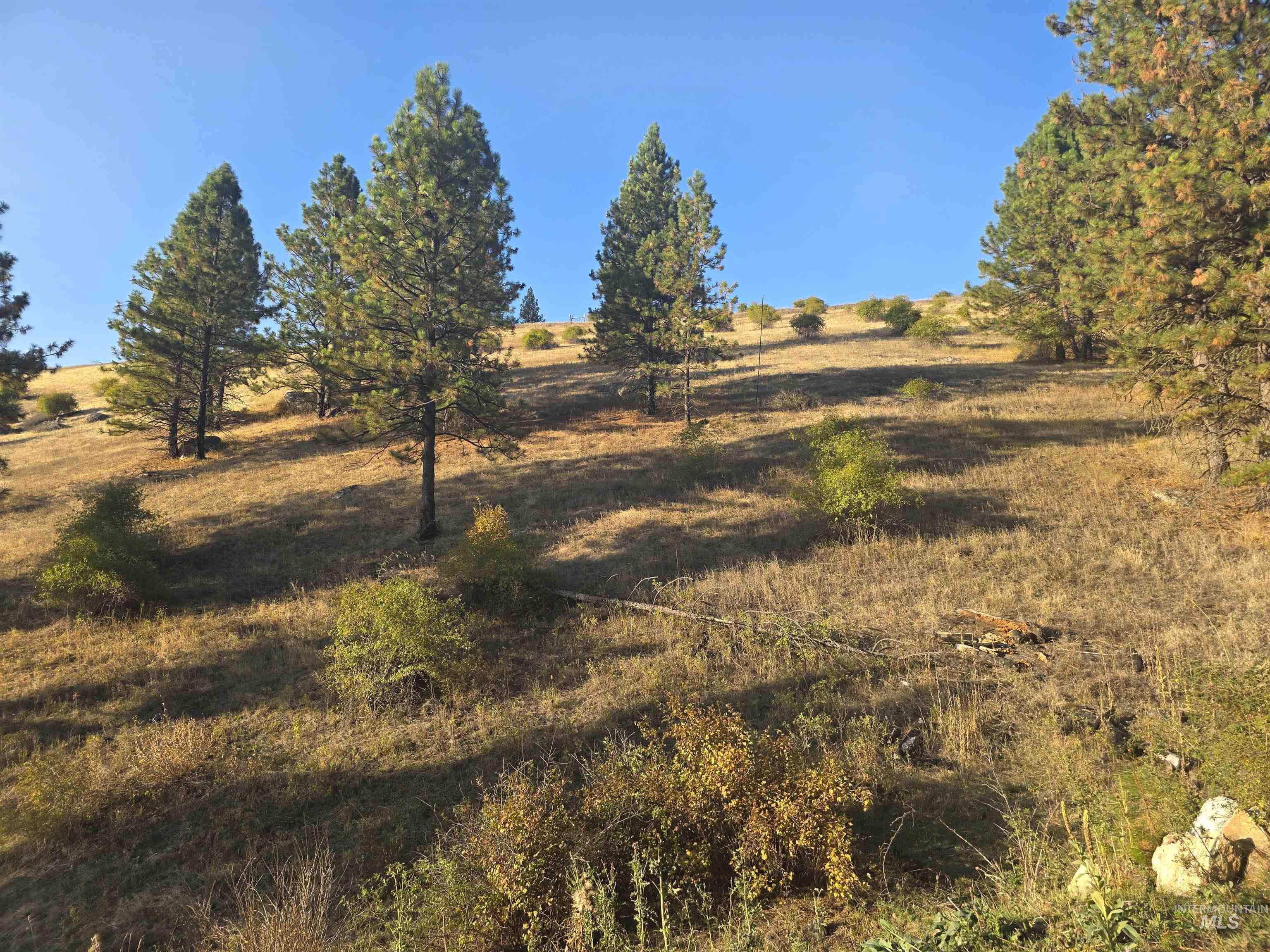 Tbd Pardee Road Kamiah, ID 83536 - Photo 16 of 20 View of nature with rural landscape