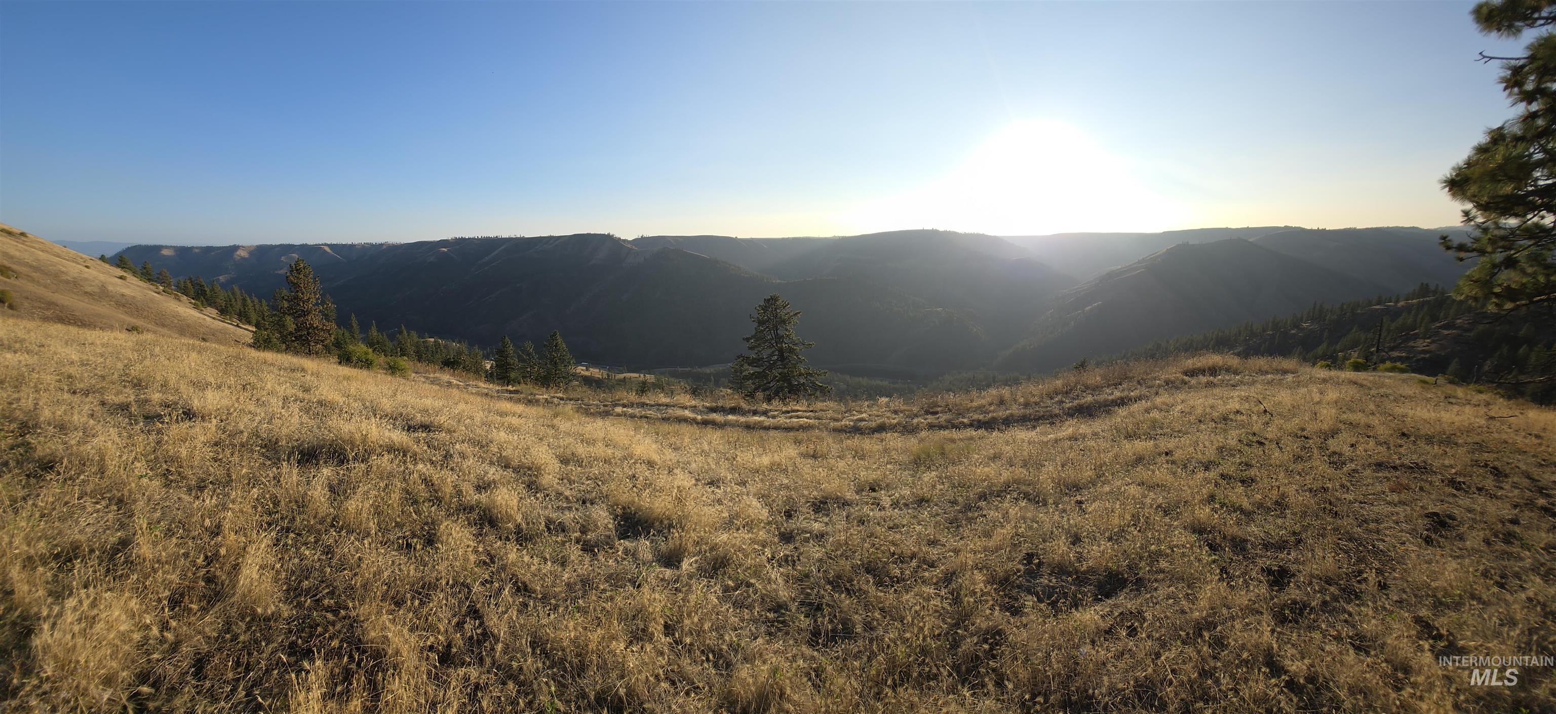 Tbd Pardee Road Kamiah, ID 83536 - Photo 17 of 20 Mountain view
