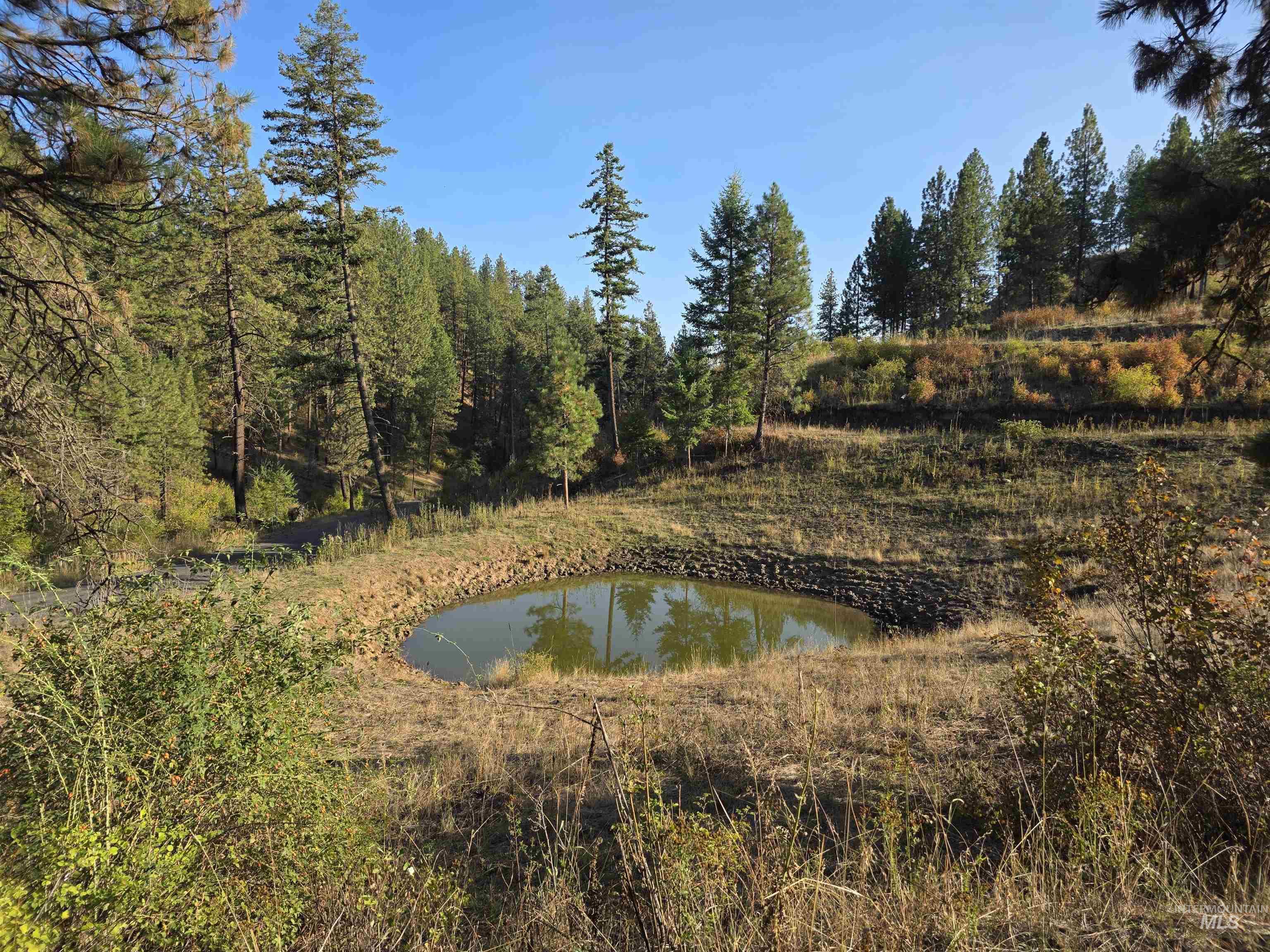 Tbd Pardee Road Kamiah, ID 83536 - Photo 20 of 20 Water view