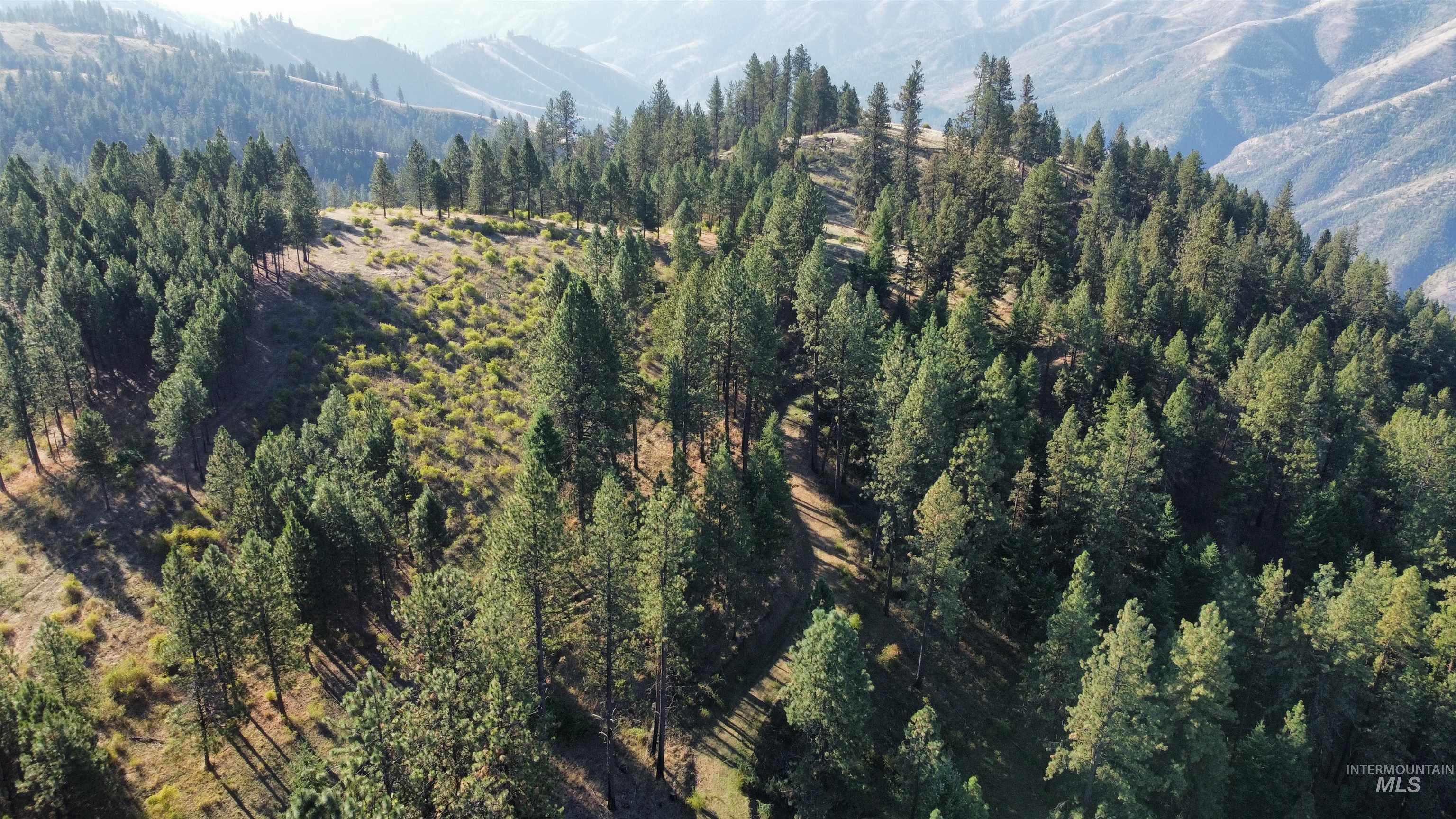Tbd Pardee Road Kamiah, ID 83536 - Photo 2 of 20 View of mountain background