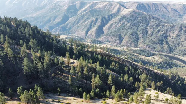 $1,768,000 | Tbd Pardee Road, Kamiah, ID 83536