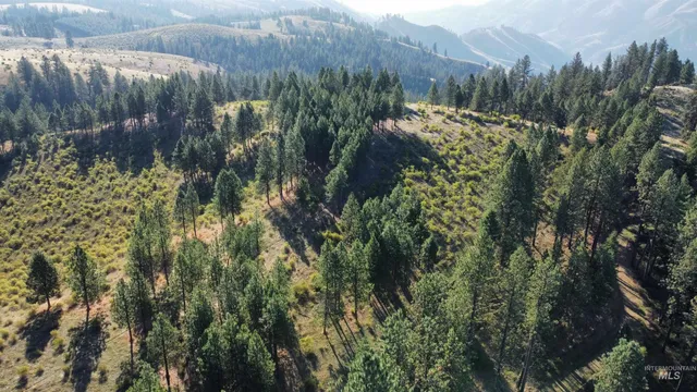 $1,768,000 | Tbd Pardee Road, Kamiah, ID 83536