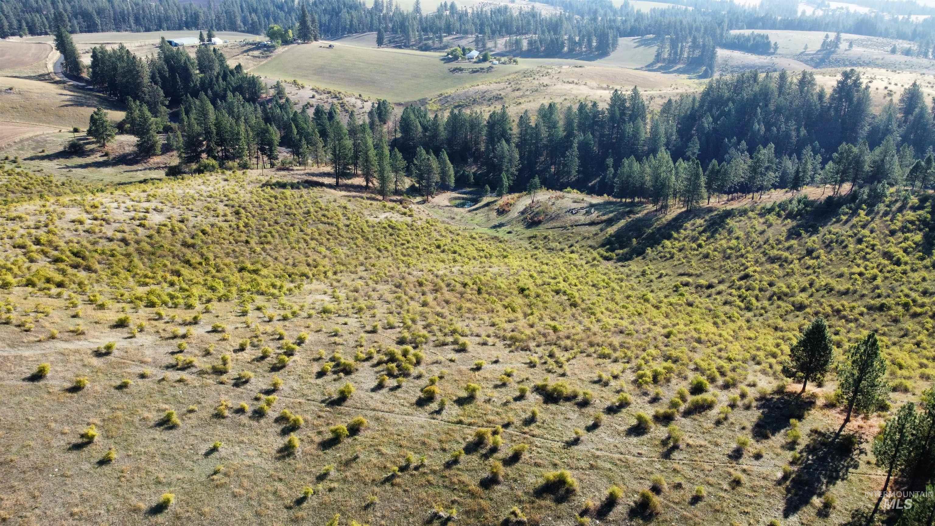 Tbd Pardee Road Kamiah, ID 83536 - Photo 5 of 20 Overview of rural landscape