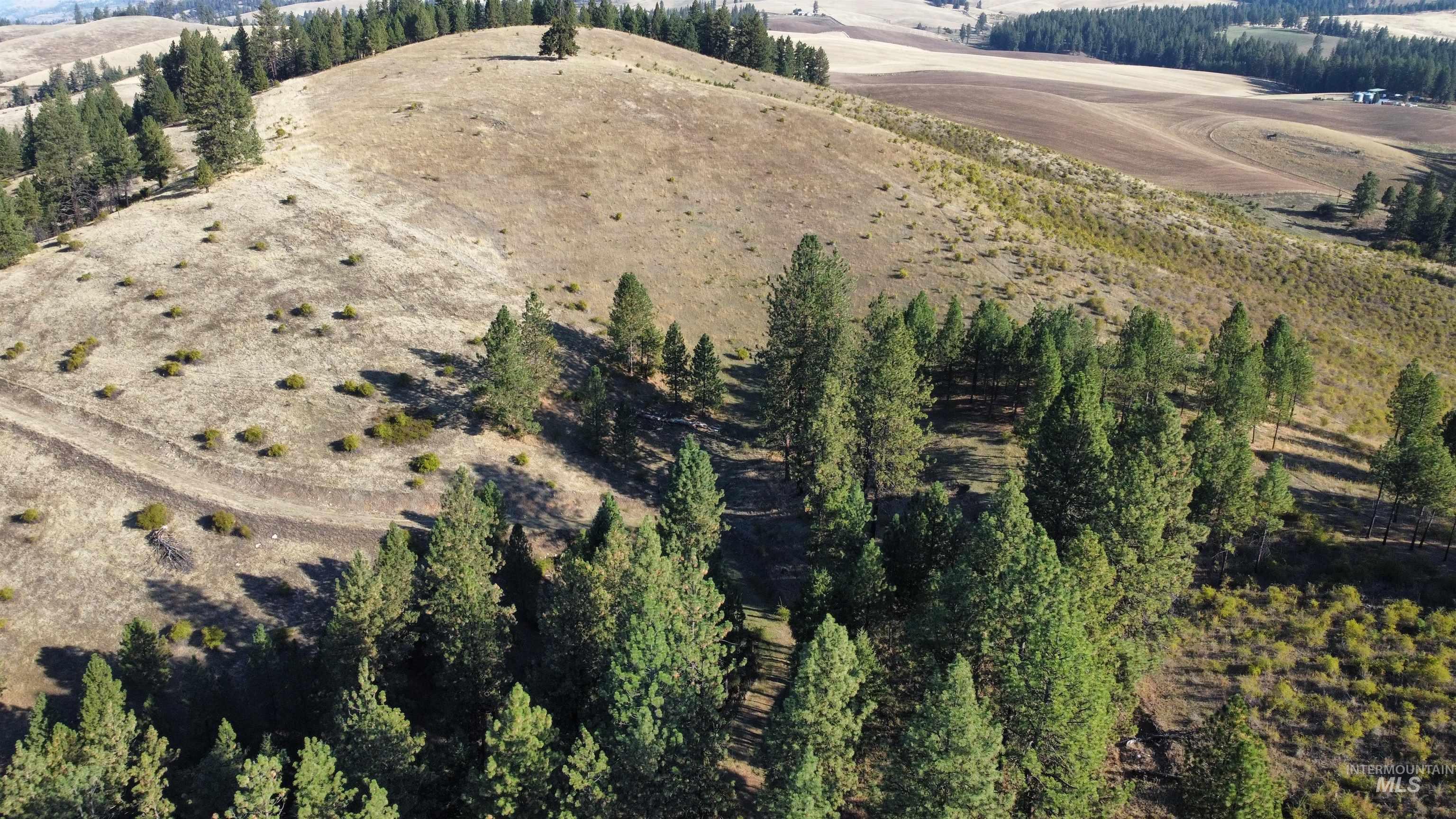 Tbd Pardee Road Kamiah, ID 83536 - Photo 7 of 20 Aerial overview of property's location