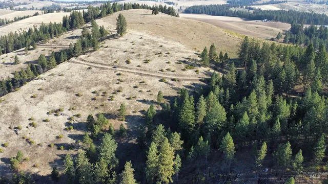 $1,768,000 | Tbd Pardee Road, Kamiah, ID 83536