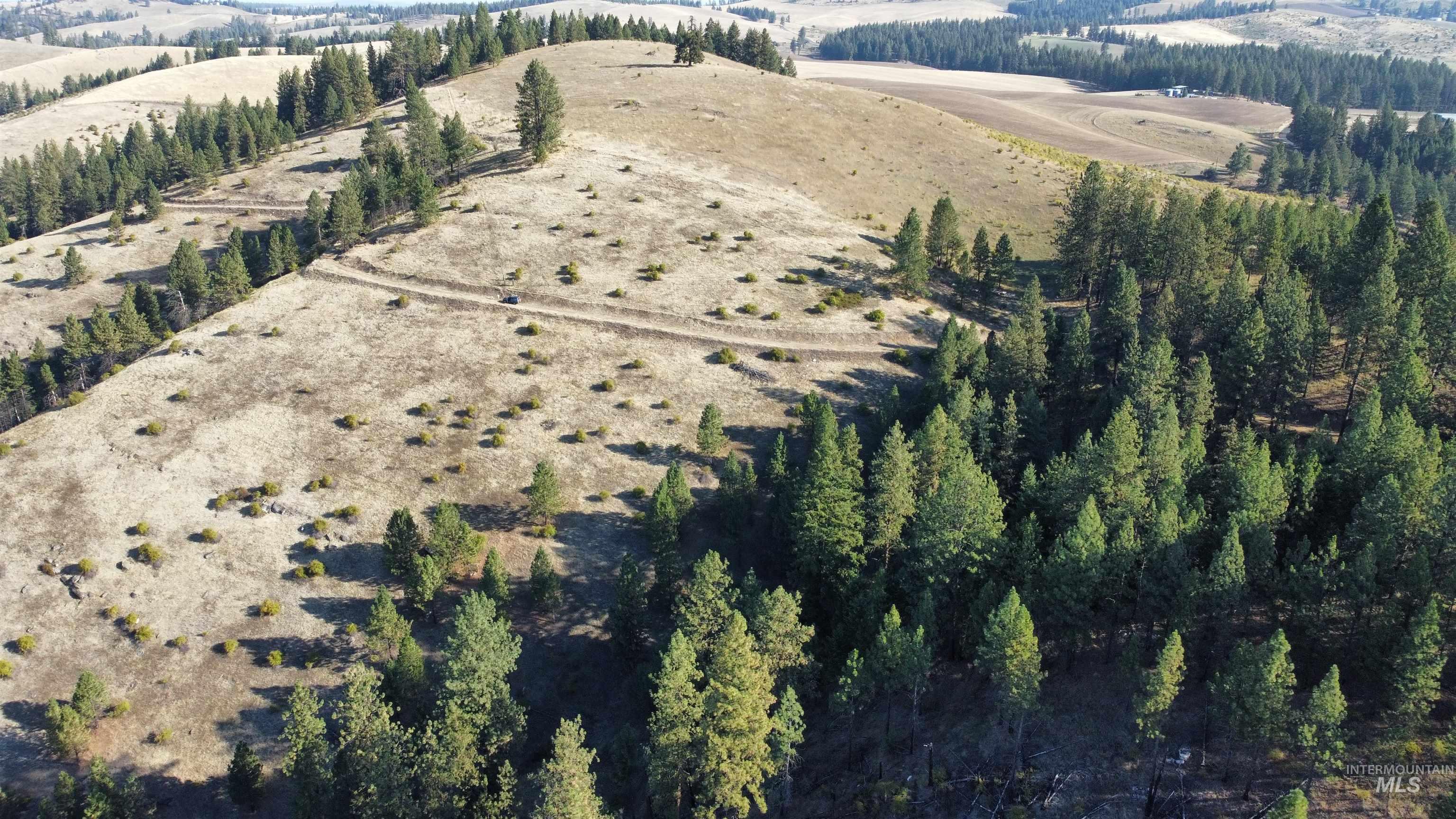 Tbd Pardee Road Kamiah, ID 83536 - Photo 9 of 20 View of property location