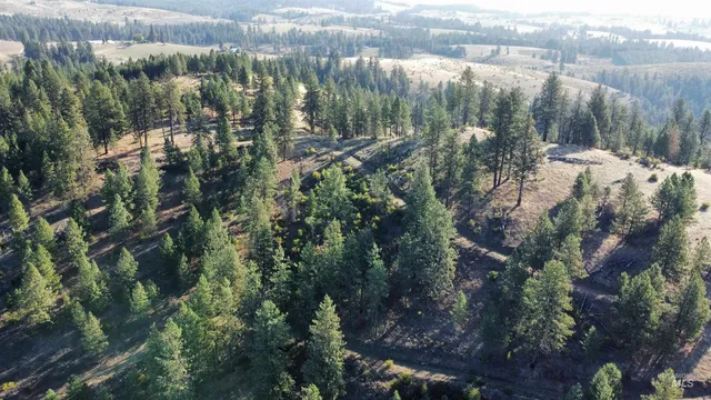 $1,768,000 | Tbd Pardee Road, Kamiah, ID 83536