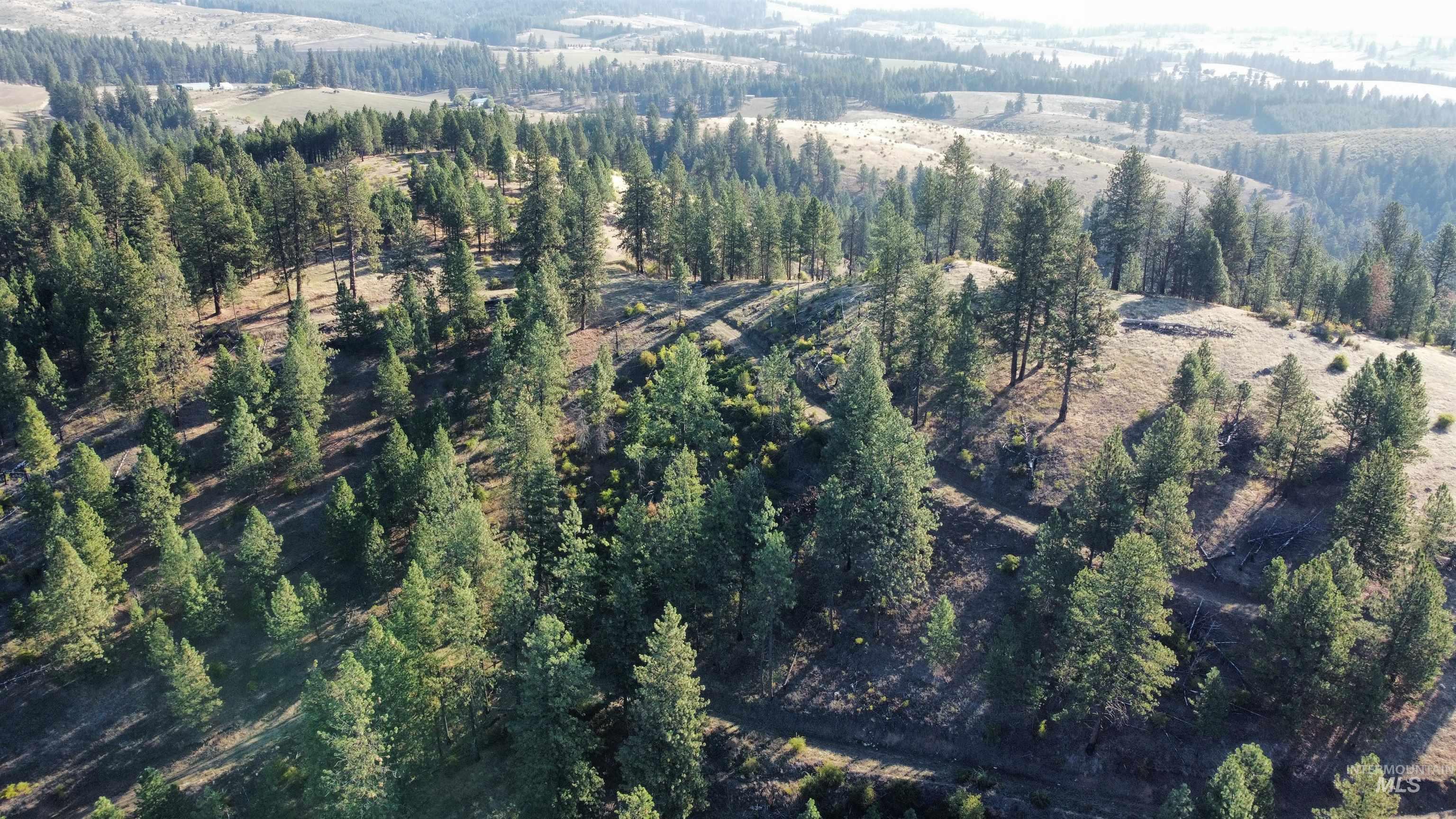 Tbd Pardee Road Kamiah, ID 83536 - Photo 10 of 20 Aerial view of property's location featuring a heavily wooded area