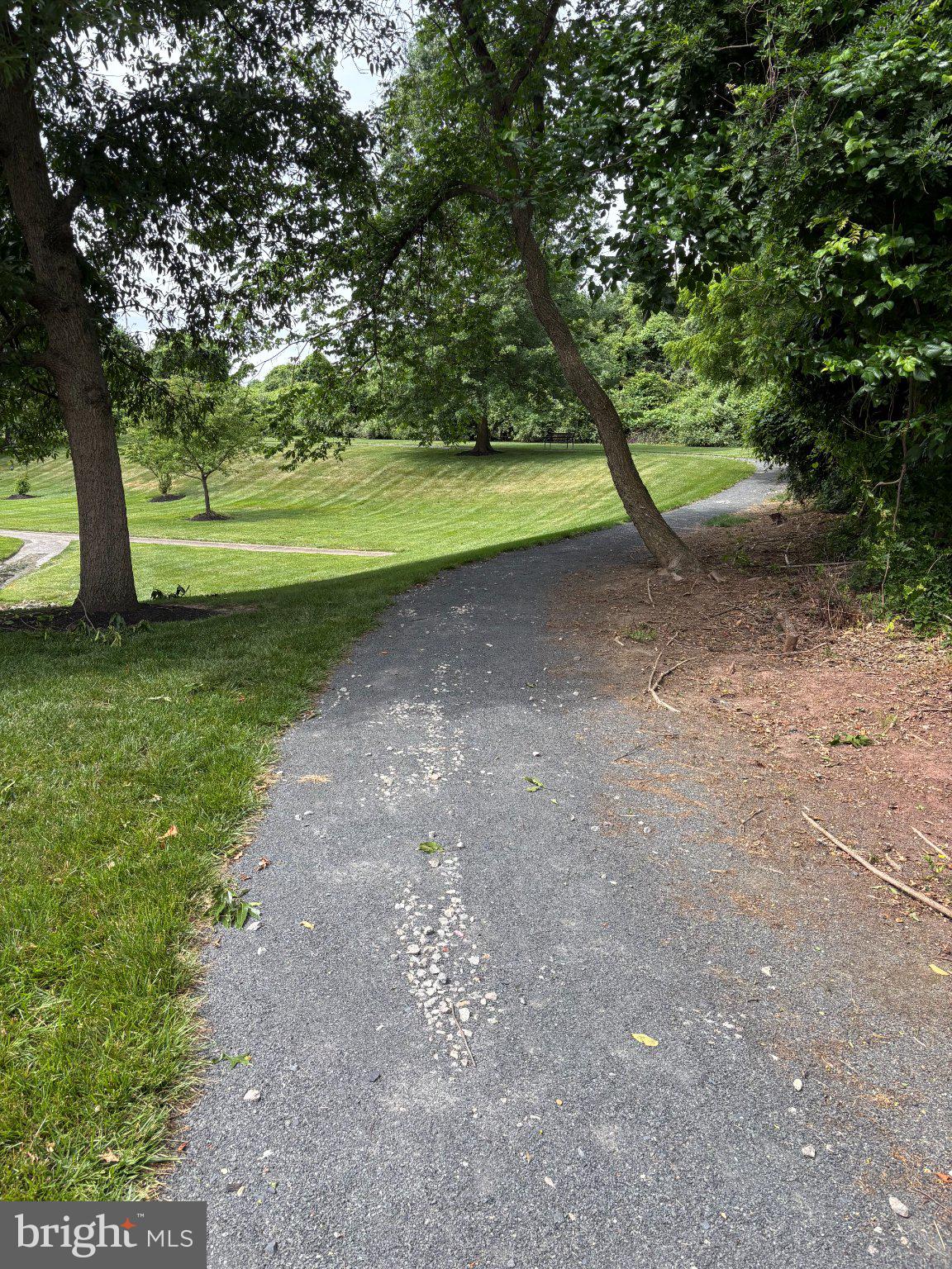 38 Kyle Way Ewing, NJ 08628 - Photo 29 of 38 Winding path through lush greenery.