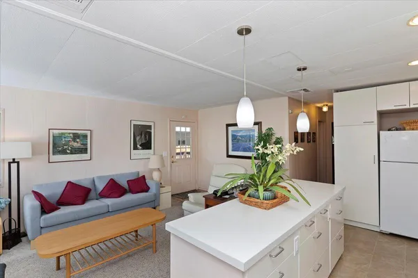 a living room with furniture a window and a potted plant