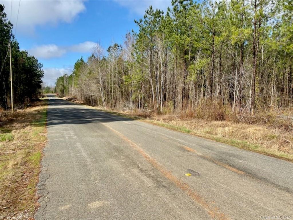 0 Bellefield Road Ridgeway, SC 29130 - Photo 3 of 12