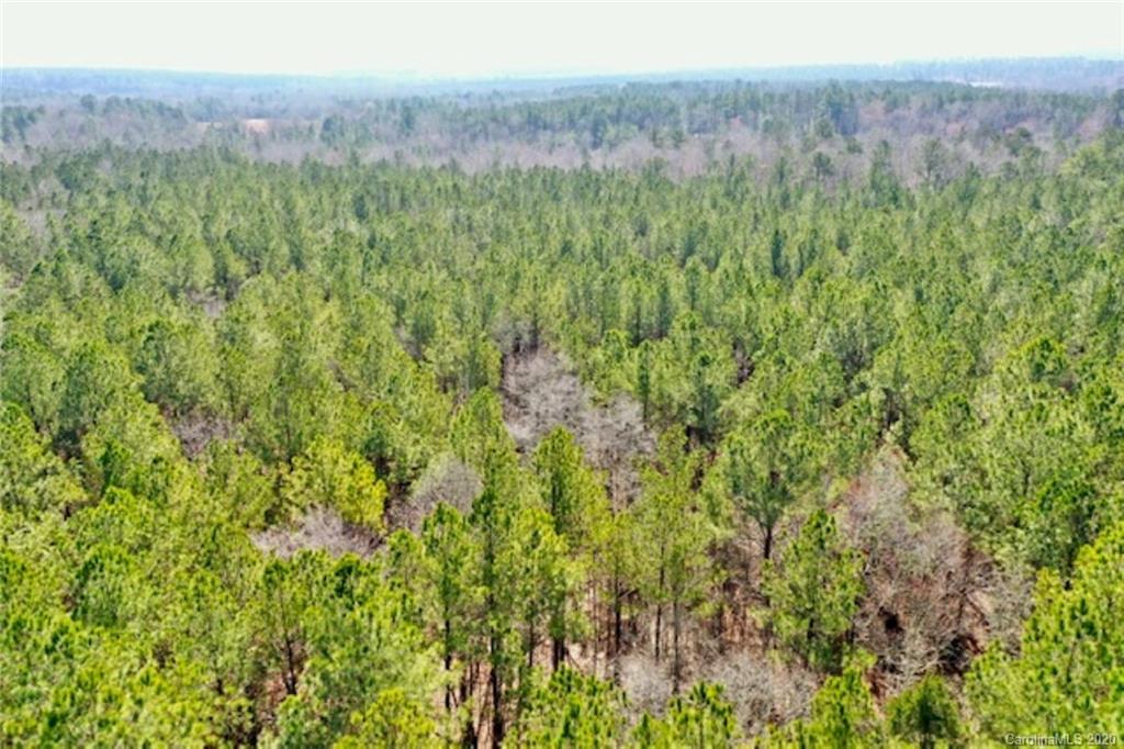 0 Bellefield Road Ridgeway, SC 29130 - Photo 8 of 12