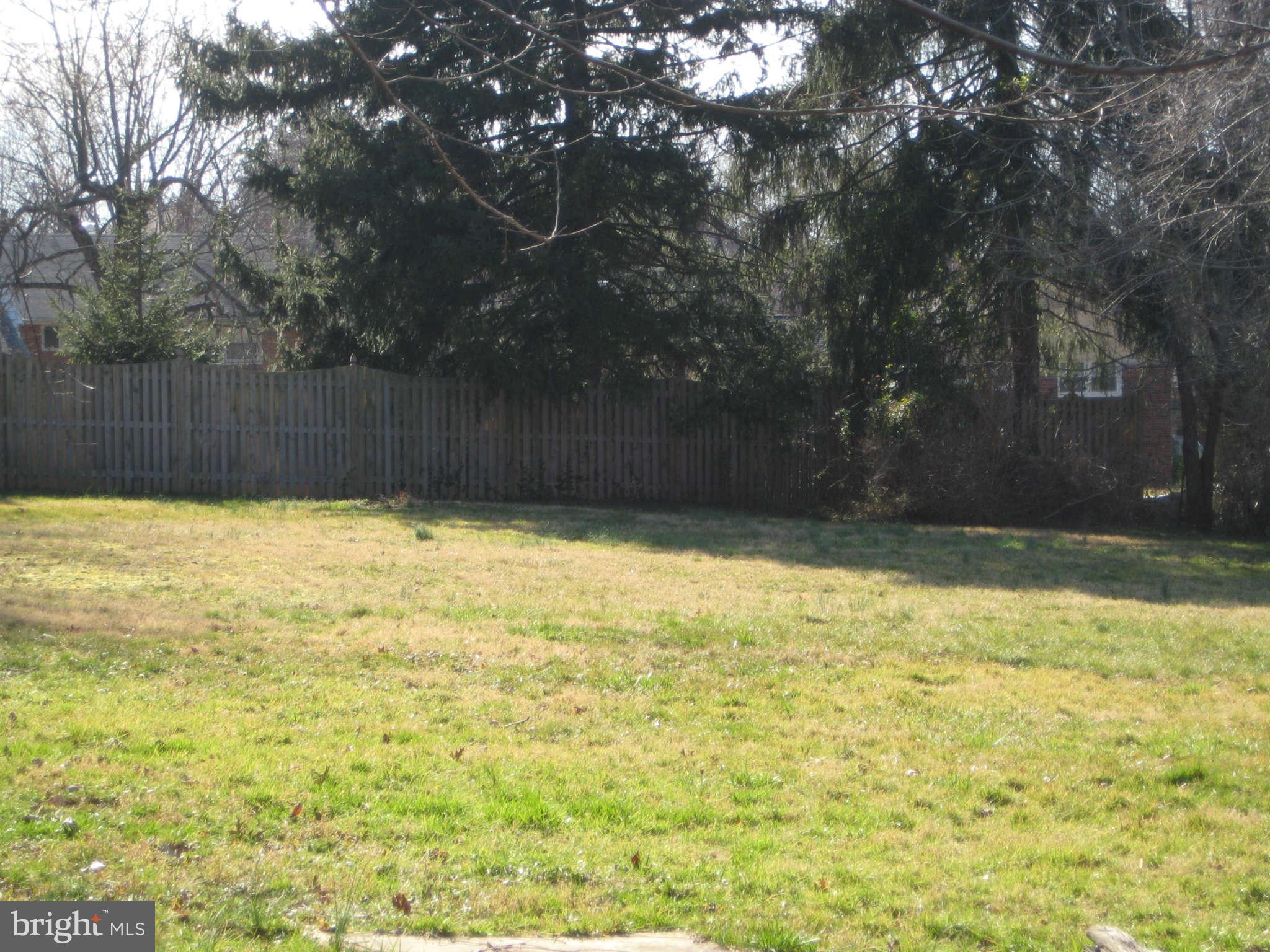 6439 Old Chesterbrook Road McLean, VA 22101 - Photo 3 of 5 Backyard #2