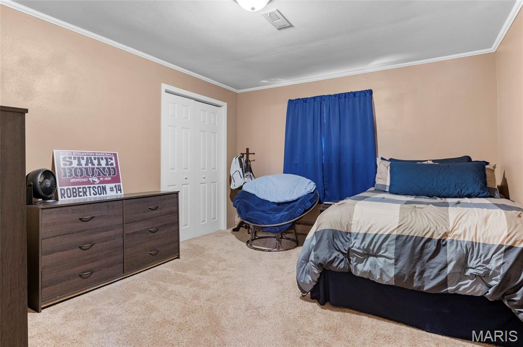 723 Bunker Hill Road Staunton, IL 62088 - Photo 10 of 30