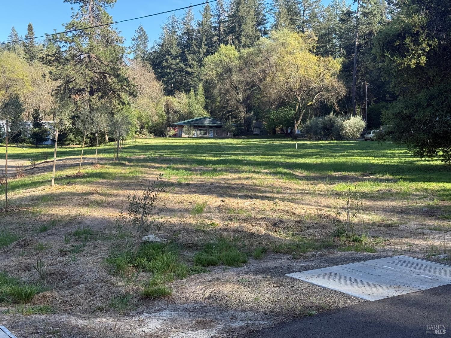 a view of a golf course with a trees