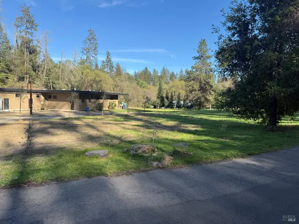 a view of a park with large trees
