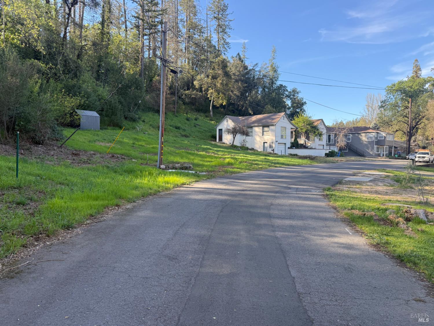 389 Circle Drive Angwin, CA 94508 - Photo 4 of 9 a view of a house with a yard and tree s