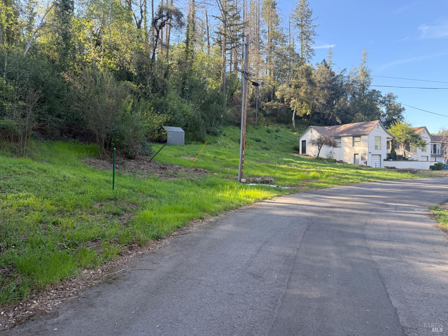 389 Circle Drive Angwin, CA 94508 - Photo 5 of 9 a view of a house with a yard and basketball court