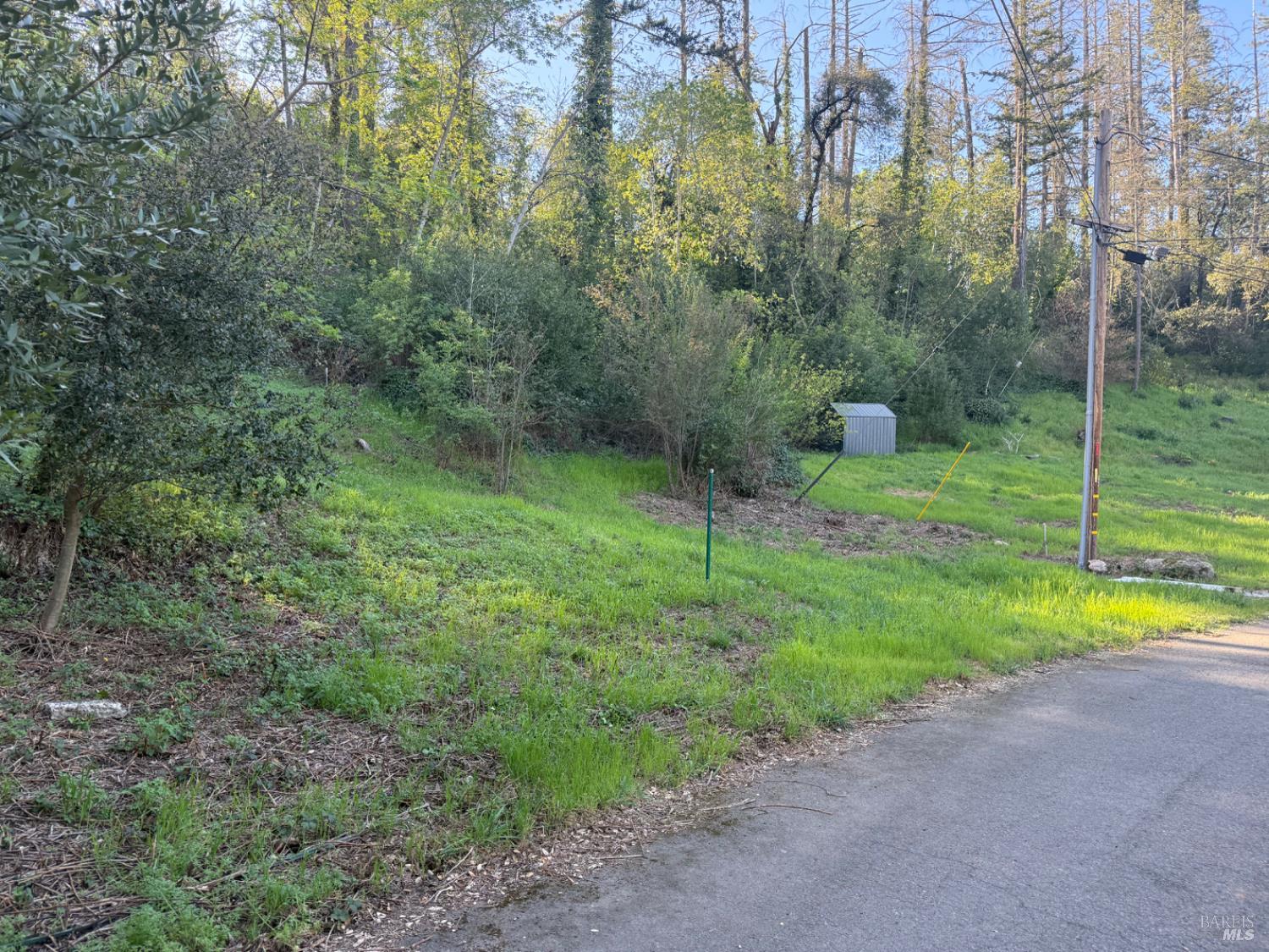 389 Circle Drive Angwin, CA 94508 - Photo 6 of 9 a view of outdoor space and garden