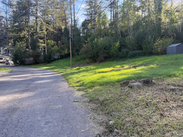 a view of a backyard with large trees