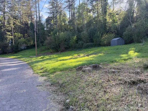 a view of a backyard with large trees
