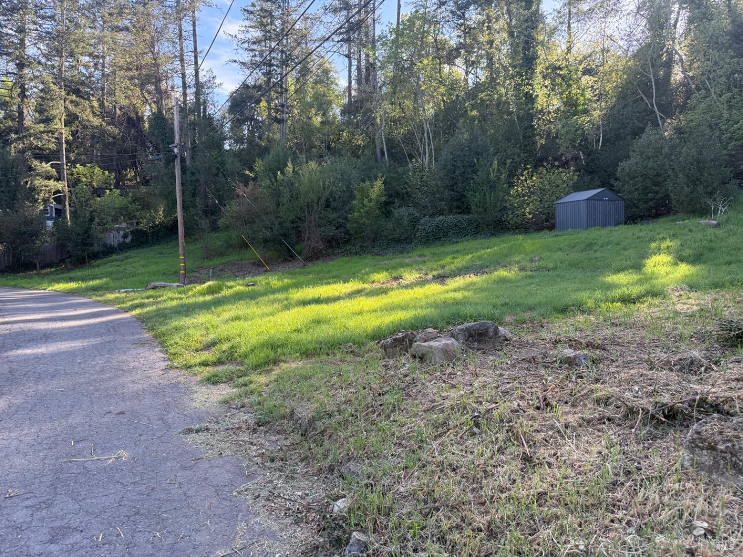 389 Circle Drive Angwin, CA 94508 - Photo 8 of 9 a view of a backyard with large trees