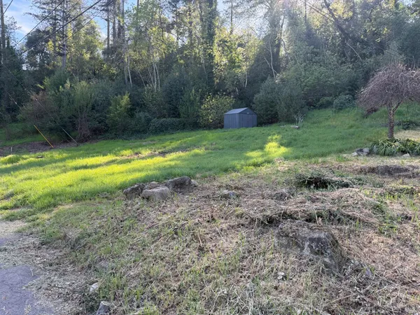 a view of a backyard with green space