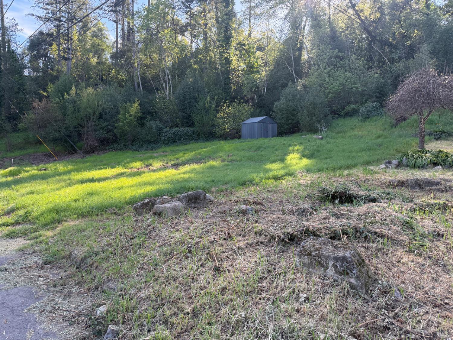 389 Circle Drive Angwin, CA 94508 - Photo 9 of 9 a view of a backyard with green space