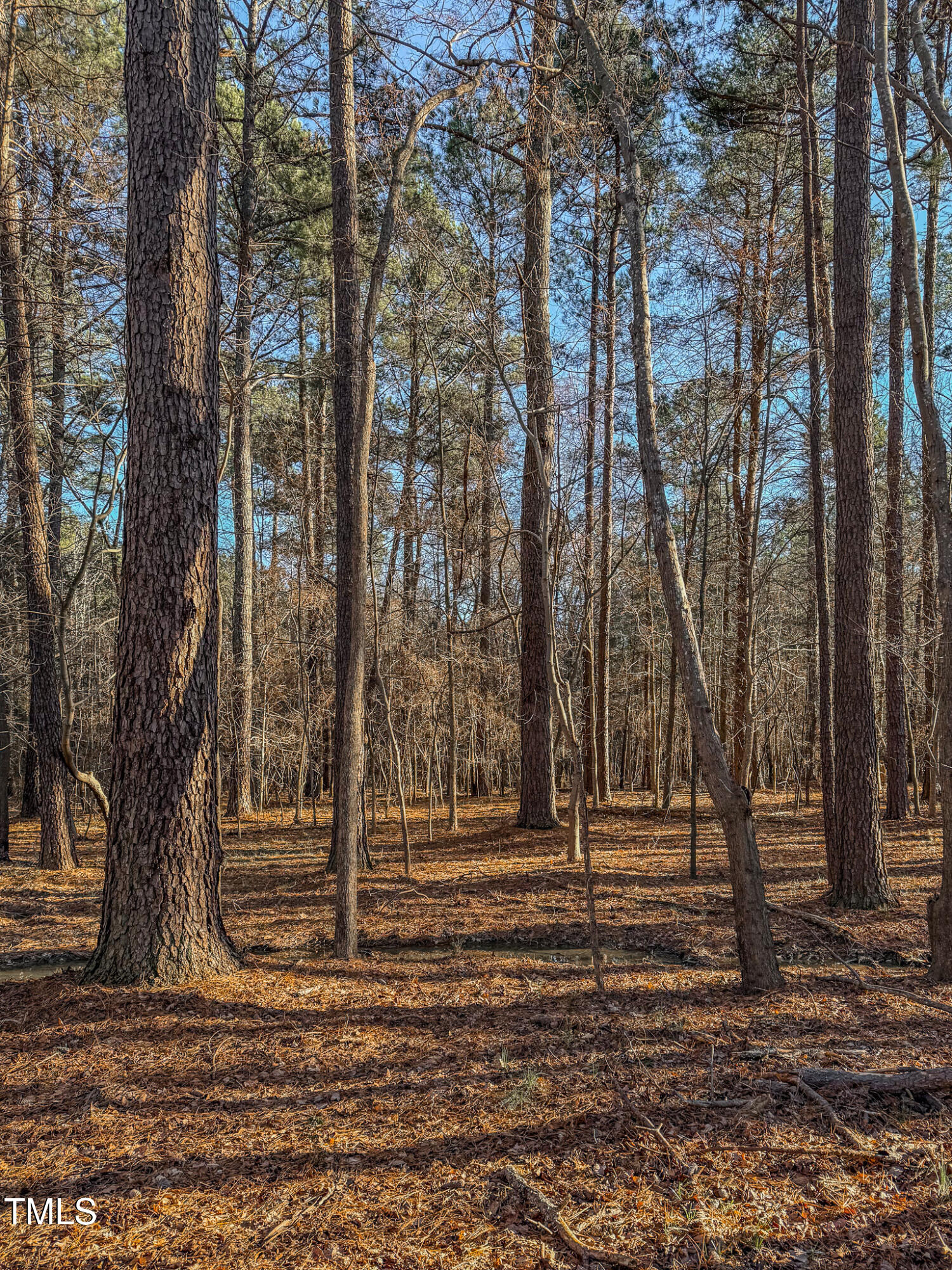 604 Orange Factory Road Bahama, NC 27503 - Photo 12 of 31 12