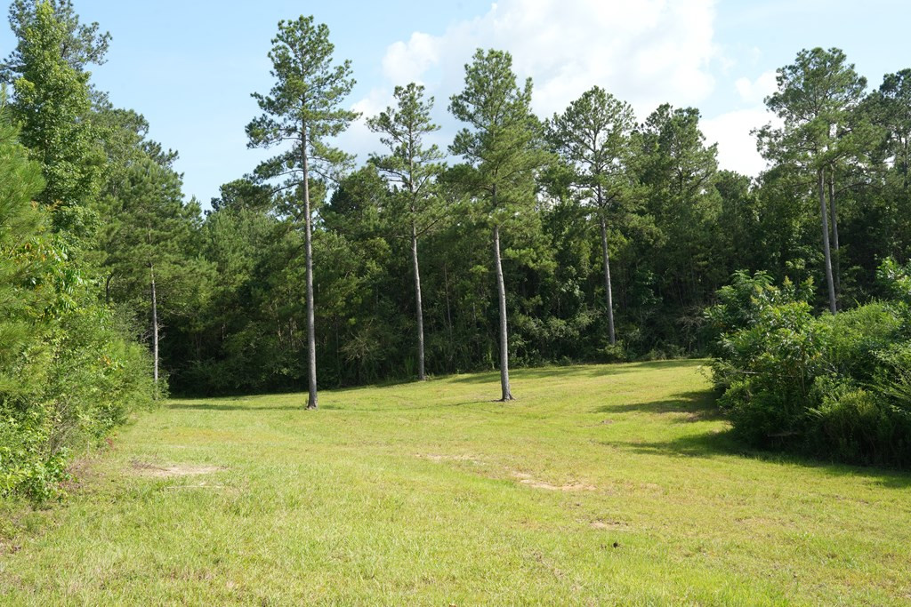 583 Jayess Ms 39641 Ruth, MS 39662 - Photo 8 of 19 Photo 8