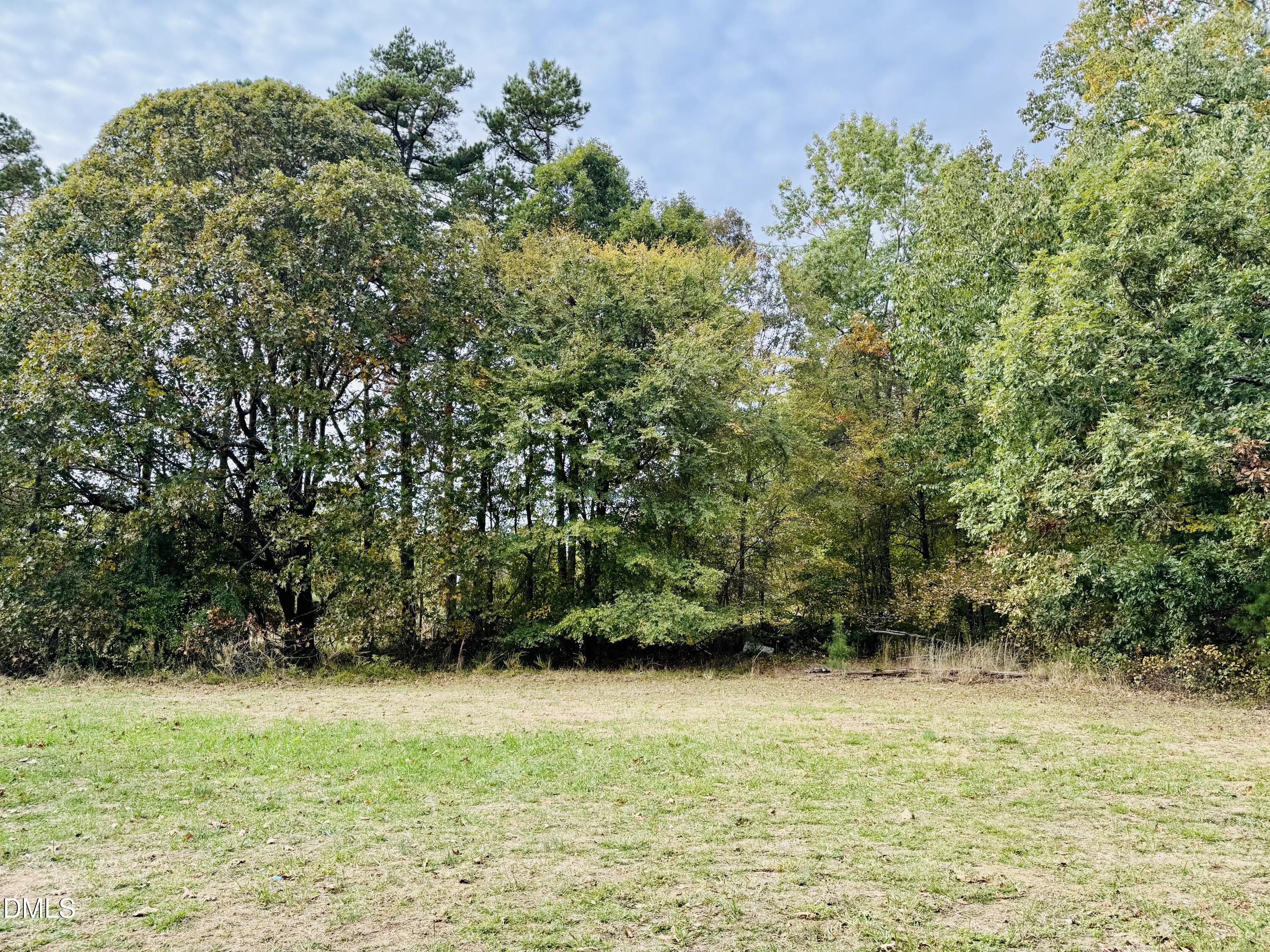 128 Lisa Cheryl Lane Roxboro, NC 27573 - Photo 5 of 23 a view of a yard