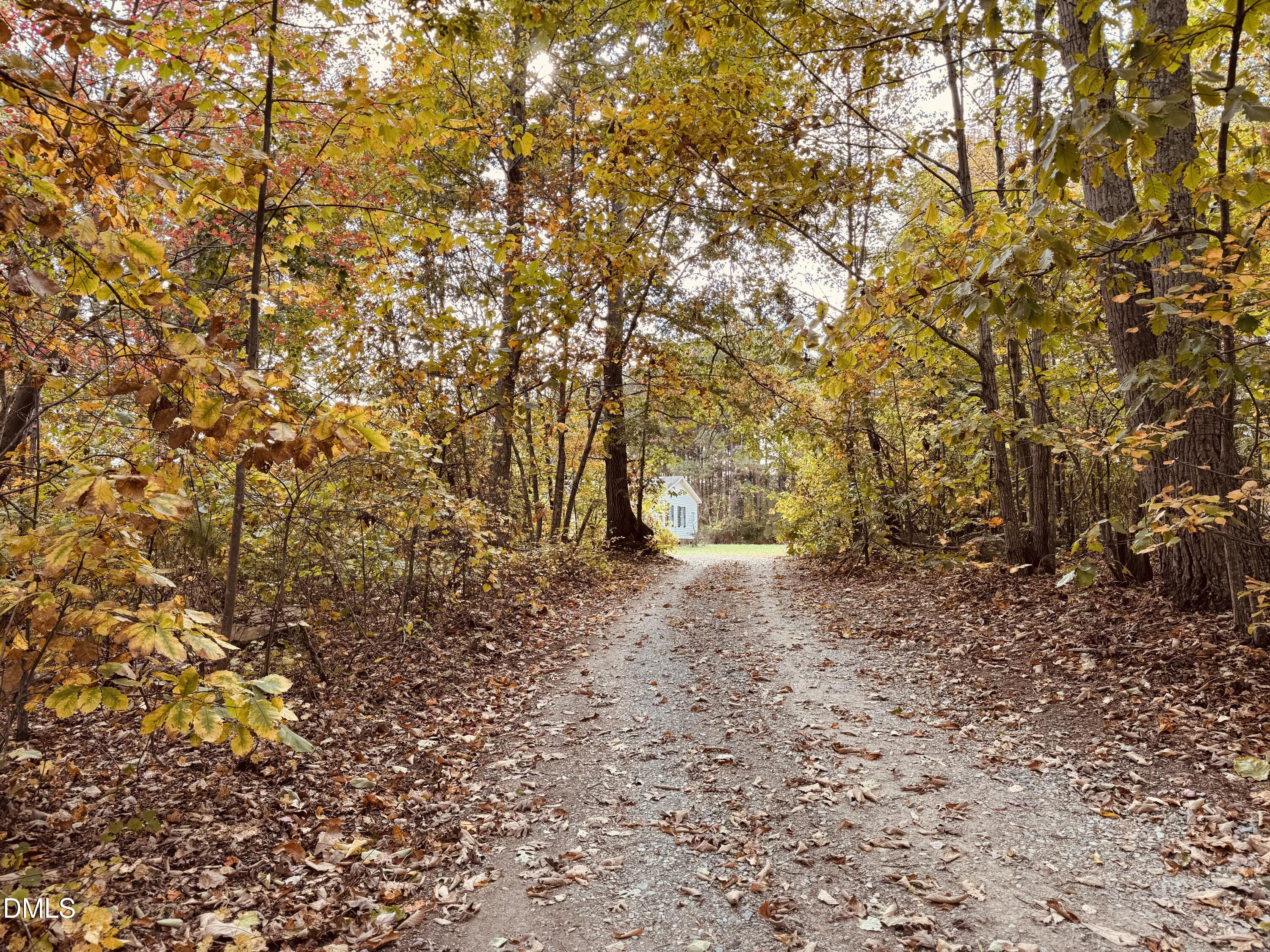 128 Lisa Cheryl Lane Roxboro, NC 27573 - Photo 8 of 23 a view of a forest with trees